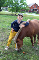 🐴🐴🐴 Пони - это чудо крошки. 🐴🐴🐴 Пони - это чудо крошки.